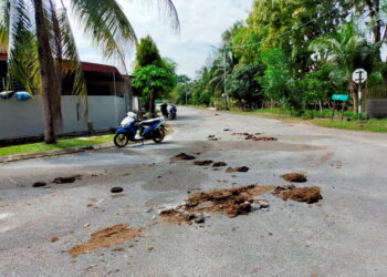 Najis kerbau bertaburan di jalan menyebabkan bau busuk di Jalan Margosa, Bandar Seri Botani, Ipoh. - UTUSAN/ASLIZA MUSA