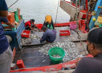 Pendapatan nelayan di Perlis terjejas ekoran aktiviti pencerobohan penangkap siput yang merosakkan habitat pembiakan ikan. - UTUSAN/SHAHIR NORDIN