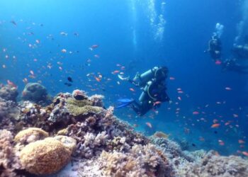 Terumbu karang diperairan Sabah yang akan terancam jika aktiviti bom ikan berterusan.