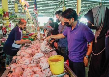 SEAWAL pukul 8 pagi, ayam di Pasar Awam Melaka telah habis dijual memandangkan bekalan yang diterima terhad hanya 200 ekor berbanding 400 ekor sebelum ini. – mingguan/DIYANATUL ATIQAH ZAKARIA