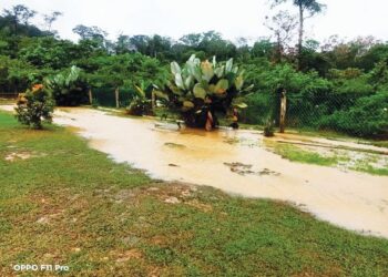 KEADAAN pekarangan rumah seorang penduduk di Kampung Perigi Jernih, Rembau, Negeri Sembilanyang sering dinaiki air pada musim hujan berikutan keadaan longkang dan perparitan yang tidak sempurna. - UTUSAN/NOR AINNA HAMZAH