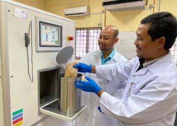 DR. Sobri Hussein (kiri) dan Penolong Pegawai Sains, Shuhaimi Shamsudin memasukkan padi yang didedahkan dengan sinaran gamma menggunakan alat GammaCell dalam bekas khas sebdengan  
Padi Nuklear NMR 152
GAMBAR: LAUPA JUNUS