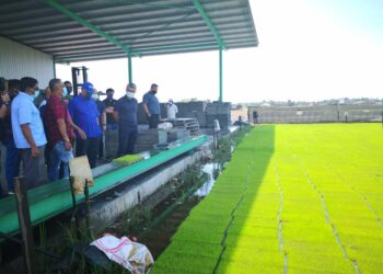 TENGKU Zafrul Tengku Abdul Aziz (empat kanan) bersama Noh Omar(tengah) ketika meninjau Pusat Semaian Swasta di Kg. Parit 4, Tanjong Karang, Selangor, hari ini.