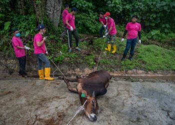 AGIHAN daging korban kepada golongan kurang bernasib baik merupakan antara inisiatif bagi mengatasi masalah kemiskinan yang berlaku dalam masyarakat. – AFP