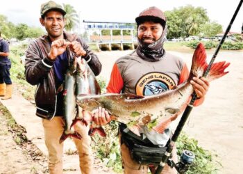 AZIZI Anuar (kanan) bersama rakan menunjukkan ikan patin yang berjaya dipancingnya di kawasan pintu air Kampung Jubakar Pantai, Tumpat, Kelantan. –UTUSAN/ ROSLIZA MOHAMED