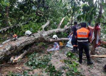 ANGGOTA bomba mengangkat pokok bagi yang menghempap seorang lelaki di Sungai Langat, Bangi.- IHSAN BOMBA