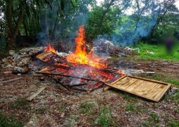 SEORANG pemilik premis didenda sebanyak RM2,000 kerana melakukan pembakaran sisa kayu secara terbuka di tapak tanah kosong di kawasan Perindustrian Bukit Minyak, Bukit Mertajam, Pulau Pinang.