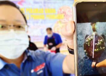 KASIM Tawe menunjukkan bangkai seekor penyu agar seberat dua kilogram yang ditemukan nelayan dalam kejadian di Pantai Telok Kemang, Port Dickson, kelmarin.-UTUSAN/NOR AINNA HAMZAH