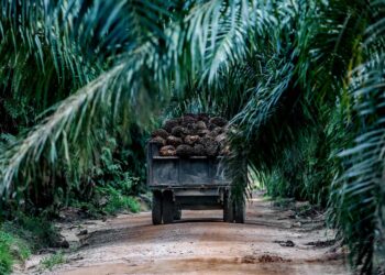 Isu utama membabitkan Kos Operasi Ladang (KOL) yang tinggi ekoran kadar upah buruh tinggi dan kenaikan mendadak baja serta racun.