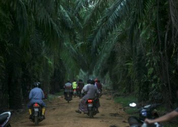 INISIATIF pelupusan hutang peneroka yang diumumkan kerajaan merupakan dasar yang membantu para peneroka melangsaikan hutang.