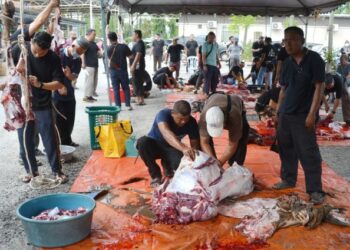 AHLI kariah Masjid Kariah Paroi Jaya, Seremban bergotong royong melaksanakan ibadat korban di masjid tersebut hari ini.-UTUSAN/ZAKKINA WATI AHMAD TARMIZI.