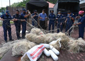 RUZAIDI Mamat (enam, dari kiri) memegang pukat pari yang dirampas dalam Op Penyu semasa sidang akhbar di Kuala Terengganu hari ini. - UTUSAN/PUQTRA HAIRRY ROSLI