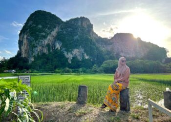 PENGUNDI di Perlis perlu bijak dalam pilihan raya akan datang memilih supaya pembangunan negeri itu tidak terencat.