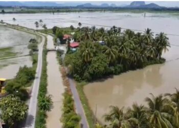 GAMBAR yang diambil daripada pandangan udara menggunakan dron dikongsikan petani kepada Utusan Malaysia ketika sawah mereka di Kampung Bakong, Arau, Perlis ditenggelami air pada 25 November lalu.