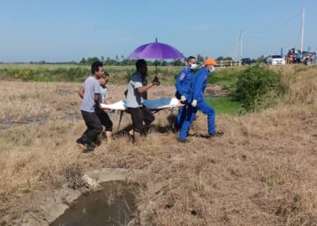 WARGA emas berusia 70 tahun disahkan meninggal dunia di kawasan sawah miliknya di Kampung Bukit Raya Dalam, Pendang.