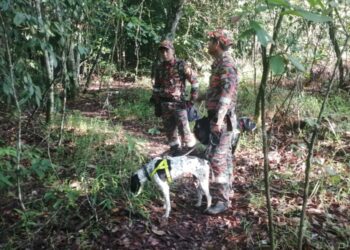 UNIT Anjing Pengesan (K9) bomba digunakan dalam operasi mencari pendaki warga emas di Puncak Jelapang, Ipoh hari ini. - IHSAN JBPM