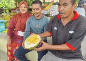 MOHD. SABRI Majid (kanan) menunjukkan isi Mas Hijau kepada pelanggan di pusat pengumpulan hasil Kampung Damak, Jerantut, Pahang. - UTUSAN/HARIS FADILAH AHMAD