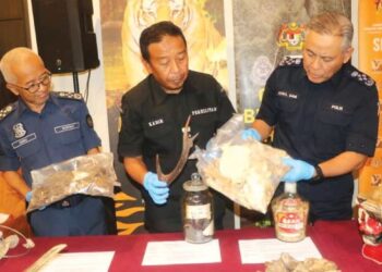ABDUL Kadir Abu Hashim (tengah) menunjukkan tanduk rusa manakala Acryl Sani memegang tulang anak harimau sisik yang dirampas dari pemburu haram selepas mesyuarat Operasi Bersepadu Khazanah di Kuala Tahan di Jerantut, Pahang. - FOTO/SALEHUDIN MAT RASAD