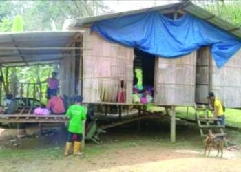 RUMAH Nasir Gelahok rosak bahagian dinding dan hampir roboh akibat diserang gajah liar pada 6 Disember tahun lalu di Kampung Simoi Baru, Pos Betau, Lipis, Pahang. – FOTO/IHSAN PENDUDUK KG. SIMOI BARU