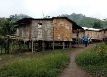KIRA-KIRA 200 penduduk perkampungan Orang Asli Simoi Lama, Pos Lenjang bimbang dengan keselamatan mereka selepas sekumpulan gajah liar berkeliaran dan memusnahkan tanaman mereka sejak tiga bulan lalu di Lipis, Pahang.