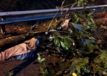 KEADAAN penunggang motosikal yang maut akibat dihempap pokok tumbang di Kilometer 67.4 Lebuh Raya Pantai Timur di Bentong, Pahang. - FOTO/IHSAN BOMBA DAN PENYELAMAT PAHANG