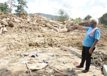 LAI Chui Fen menunjukkan tapak asal rumah pusaka ayahnya yang musnah sepenuhnya akibat dilanda bah di luar jangka di Kampung Baru Perdak di Bentong, Pahang. - UTUSAN/NORHAFIZAN ZULKIFLI