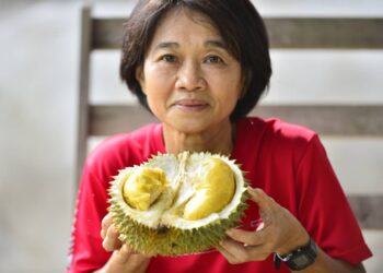 PESARA guru, Heng Jee Chin menunjukkan buah durian hijau Beserah yang sentiasa diburu penggemar durian dari seluruh negara di Beserah, Kuantan, Pahang. - UTUSAN/SHAIKH AHMAD RAZIF
