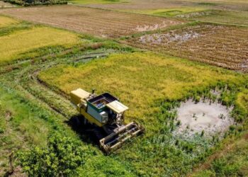 SASARAN peningkatan padi di Perlis mampu dicapai menerusi program Ladang Benih Padi yang dapat menghasilkan benih berkualiti.