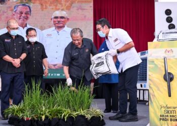 Muhyiddin Yassin melakukan gimik pelancaran Skim Subsidi Baja dan Racun Padi Bukit/Huma 
di Dataran Bergandang, Beaufort, semalam.   Turut hadir, Menteri Pertanian dan Industri Makanan, 
Datuk Seri Dr. Ronald Kiandee (kiri). – UTUSAN/SHIDDIEQIIN ZON