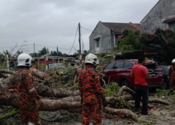 ANGGOTA bomba dari Balai Bomba Gebeng bergegas ke lokasi kejadian selepas menerima panggilan kecemasan susulan ribut dan angin kencang hingga menyebabkan sebatang pokok besar tumbang dan menghempap seorang remaja perempuan di Kampung Baru Balok di Kuantan, Pahang. - FOTO IHSAN JBPM PAHANG