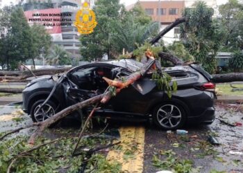 PERODUA Aruz dihempap pokok akibat hujan lebat di Taman Pagar Ruyung di ibu negara petang semalam.