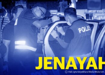 Menyamar polis