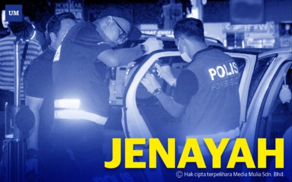 Menyamar polis
