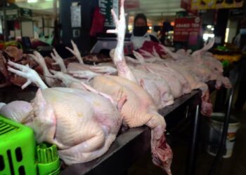 PENTERNAK dan pembekal ayam perlu berganding bahu dengan kerajaan dalam menyelesaikan masalah bekalan supaya malasah dihadapi tidak berlarutan khususnya menjelang perayaan bakal tiba.