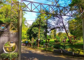 TAMAN Bandaraya, Georgetown, Pulau Pinang dibuka semula kepada awam untuk aktiviti rekreasi yang dibenarkan selepas Pulau Pinang beralih ke fasa kedua Pelan Pemulihan Negara (PPN).