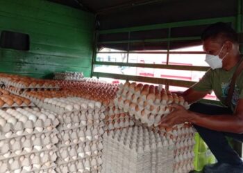 MESKIPUN masih dijual pada harga kawalan, namun berlaku kekurangan ketara bekalan telur ayam di pasaran di Pulau Pinang sehingga memaksa pemborong mengehadkan pembelian.