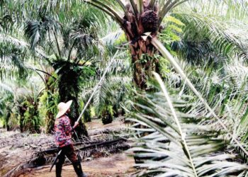 ISU berkaitan masyarakat Felda antara modal kempen parti-parti politik yang bertanding dalam PRN Johor.