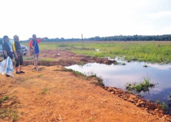 TIGA orang pesawah menunjukkan kawasan yang akan dipulihkan untuk tanaman padi tetapi kekurangan kewangan dan kemudahan di Paya Kangsar, Pulau Tawar di Jerantut, Pahang. - UTUSAN/HARIS FADILAH AHMAD