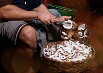 POKOK dan buah kelapa dijadikan metafora untuk menyampaikan mesej dalam filem pendek The Diaspora Story: Kalpavriksha. – IHSAN DEEPAK KUMARAN MENON