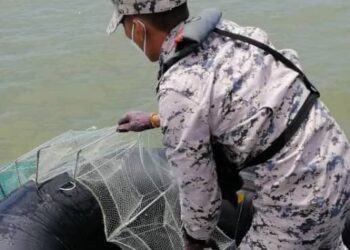 SEORANG anggota Maritim Malaysia Pulau Pinang menaikkan set bubu naga di salah satu lokasi sekitar 1.8 kilometer dari barat laut Sungai Air Hitam, Pulau Pinang, semalam.