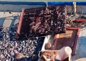 MARITIM MALAYSIA zon Kuala Perlis menahan tiga bot fiber tanpa nombor pendaftaran di tiga lokasi berbeza kerana disyaki menjalankan aktiviti menangkap siput secara haram sekitar perairan Perlis, semalam.