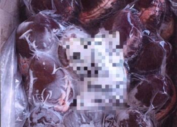 SEBAHAGIAN produk daging kerbau sejuk beku dari India yang dirampas Maqis Pulau Pinang di NBCT, Butterworth selepas didapati menggunakan maklumat tidak tepat serta mengelirukan.