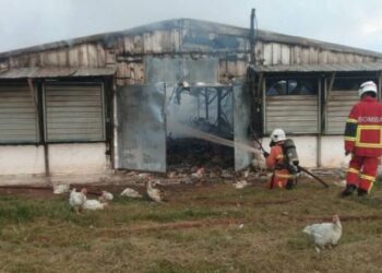 DIANGGARKAN hampir 90 peratus keseluruhan ladang ternakan ayam di Batu 8, Jalan Kuantan-Segamat, di Kuantan, Pahang musnah dalam kebakaran pada pukul 6.34 pagi tadi. - Foto ihsan JBPM Pahang