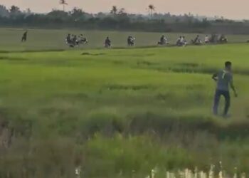 SEKUMPULAN remaja yang meredah sawah ketika operasi dilakukan di Kampung Charuk Kudung, Pendang.