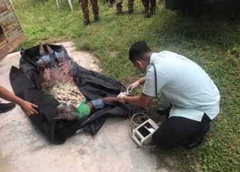 PASUKAN perubatan memeriksa keadaan lelaki yang terkena renjatan elektrik dalam kejadian di sebuah kilang pasir di Kampung Coldstream di Bidor, Perak, hari ini. - IHSAN JBPM