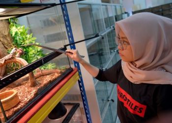 NUR Nina Fariha memberi makan haiwan yang dipeliharanya di kedainya di Cheras, Kuala Lumpur.