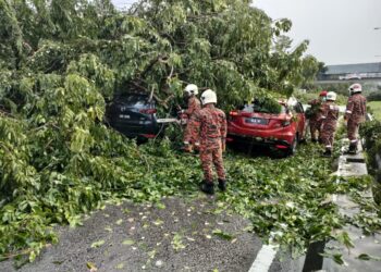 PASUKAN bomba memotong dahan yang menimpa kenderaan dalam kejadian hujan lebat dan angin kencang berdekatan Politeknik Premiere Sultan Salahuddin Abdul Aziz Shah di Shah Alam, Selangor, hari ini.