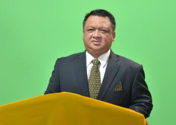 TUANKU SYED FAIZUDDIN PUTRA JAMALULLAIL