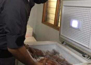 PENGUAT kuasa KPDNHEP menemukan beberapa ketul daging sejuk beku yang dinyatakan daging rusa oleh pemilik premis semasa serbuan di Bandar Baru Sungai Buloh, Sungai Buloh, Selangor.