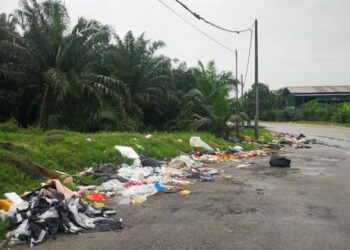 KEADAAN tepi jalan berhampiran kawasan perindustrian Pulau Carey di Kuala Langat, Selangor kembali dicemari sampah yang dibuang oleh pihak tidak bertanggungjawab walaupun pembersihan dan papan tanda larangan diletakkan oleh MPKL. - UTUSAN / ABDUL RAZAK IDRIS